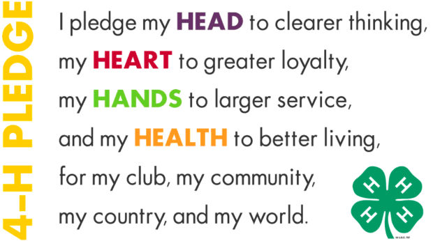 screen-shot-2016-12-05-at-9-48-13-am