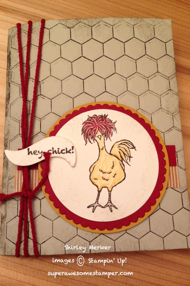 1-14-2017-1-chick-001