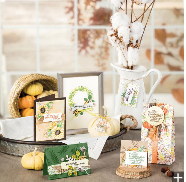 Screen Shot 2017-09-24 at 7.44.56 AM