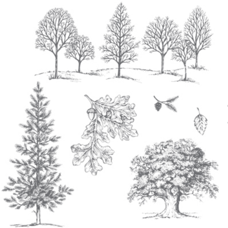 Screen Shot 2017-10-04 at 10.28.51 AM