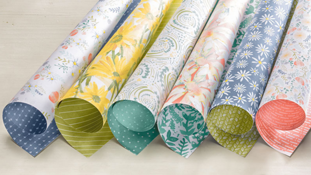 Screen Shot 2017-10-22 at 9.37.22 AM