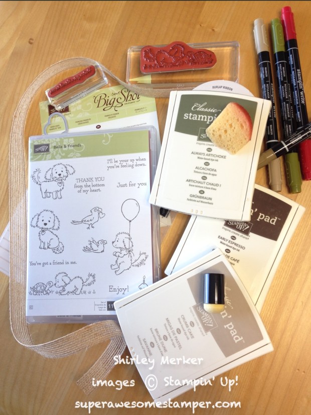 1 16 2018 bellacase2-001