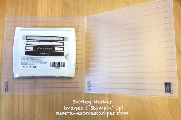 1 16 2018 bellacase3-001