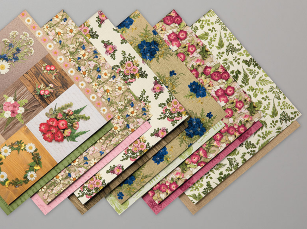 Screen Shot 2019-11-03 at 8.54.56 AM